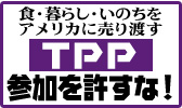TPP�Q����������